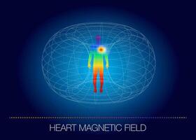 heart  magnetic field table with a diagram vector