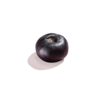 Blueberry berry with hard shadows isolated on a on transparent png background