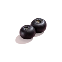 Two Blueberries berry with hard shadows isolated on on transparent png background