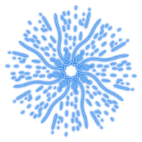 sunburst des rayons ornement png