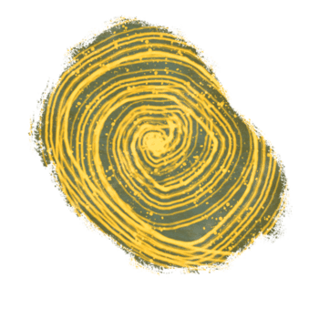 estético escova acidente vascular encefálico png