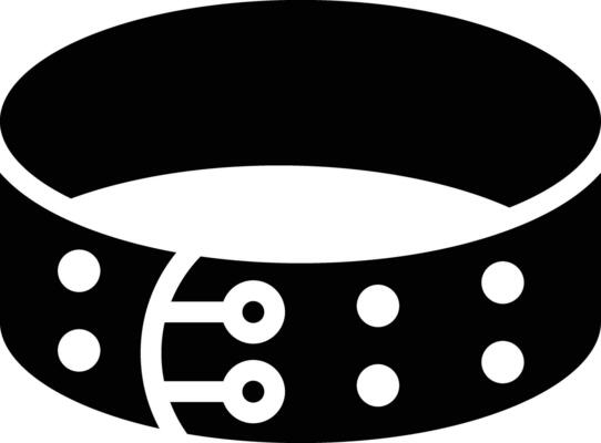 Belt Vector Icon