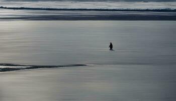 ai generado un solitario pingüino en pie en el agua foto