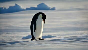 AI generated a penguin standing on the snow covered ground photo