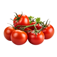 ai generado picante rojo Tomates en transparente antecedentes png