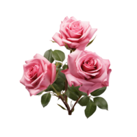 ai generado hermosa Rosa flores en plano fondo, parte superior ver png