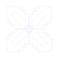 Line Flower White png