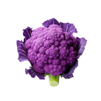 ai gegenereerd broccoli gedetailleerd waterverf schilderij fruit groente clip art botanisch realistisch png