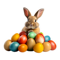 ai gegenereerd schattig Pasen konijn met eieren geïsoleerd Aan transparant achtergrond png