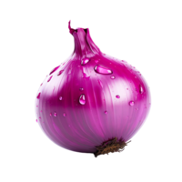 AI generated Single fresh red onion bulb isolated on transparent background with clipping path png