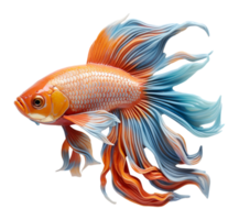 AI generated goldfish portrait design isolated on transparent background, generative ai png