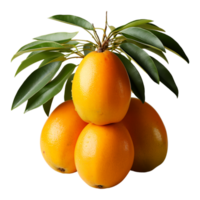 AI generated portrait of ripe and fresh mango fruit isolated on transparent background, generative ai png