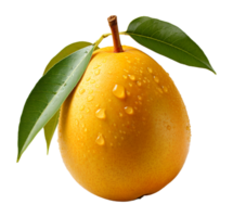 AI generated portrait of ripe and fresh mango fruit isolated on transparent background, generative ai png