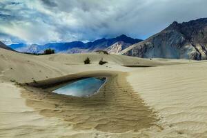 Sand dunes in Himalayas. Hunder, Nubra valley, Ladakh. India photo