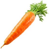 AI generated Fresh carrot isolated png