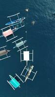 Aerial View of Whale Sharks Interacting with Tourists on a Boat. Whale Shark Tourist Attraction in Botubarani Village, Gorontalo, Indonesia photo