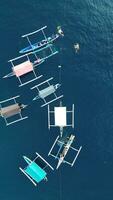 Aerial View of Whale Sharks Interacting with Tourists on a Boat. Whale Shark Tourist Attraction in Botubarani Village, Gorontalo, Indonesia photo