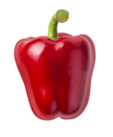 Bright red pepper png