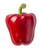 helder rood peper png