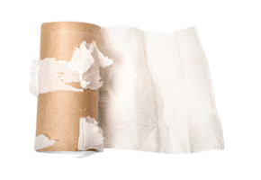 leeren Handtuch Papier rollen png