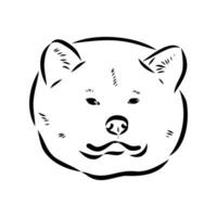 Akita inu dog vector sketch