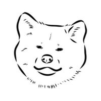 Akita inu dog vector sketch