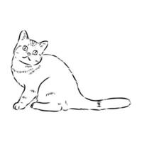 bosquejo del vector del gato