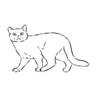 bosquejo del vector del gato