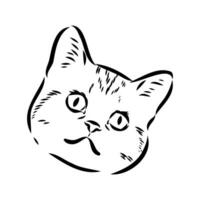 cat vector sketch