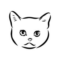 cat vector sketch