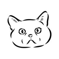 cat vector sketch