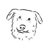 Aidi the dog vector sketch