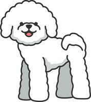 Cute bichon dog isolated on white background. Vector illustration.