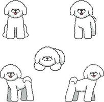 conjunto de dibujos animados bichón perros. vector ilustración aislado en blanco antecedentes.