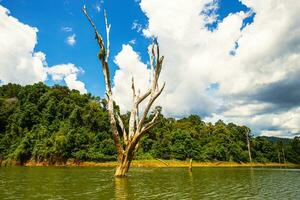 Khao empapar nacional parque, surat que yo, paisaje montañas con cola larga barco para viajeros, masticar lan lago, ratchaphapha presa, viaje naturaleza en tailandia, Asia verano vacaciones viaje viaje. foto