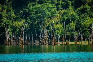 Khao empapar nacional parque, surat que yo, paisaje montañas con cola larga barco para viajeros, masticar lan lago, ratchaphapha presa, viaje naturaleza en tailandia, Asia verano vacaciones viaje viaje. foto