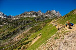 Landscape in the mountains. Panoramic view from the top of Sonmarg, Kashmir valley in the Himalayan region. meadows, alpine trees, wildflowers and snow on mountain in india. Concept travel nature. photo