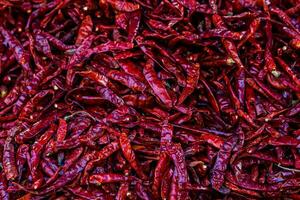 Dry hot Chilies red chilies scattered all over the background. photo