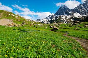 Landscape in the mountains. Panoramic view from the top of Sonmarg, Kashmir valley in the Himalayan region. meadows, alpine trees, wildflowers and snow on mountain in india. Concept travel nature. photo