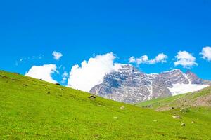 Landscape in the Himalayas Panoramic view from the top of Sonmarg, Nepal's Kashmir valley in the Himalayan region. Grasslands, wildflowers and mountain snow. hiking concept Nature camping, India photo