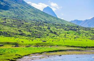 Landscape in the mountains. Panoramic view from the top of Sonmarg, Kashmir valley in the Himalayan region. meadows, alpine trees, wildflowers and snow on mountain in india. Concept travel nature. photo