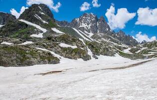 paisaje en el montañas. panorámico ver desde el parte superior de sonmarg, cachemir Valle en el himalaya región. prados, alpino árboles, flores silvestres y nieve en montaña en India. concepto viaje naturaleza. foto