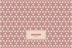 beautiful pattern of unique hexagon combination vector