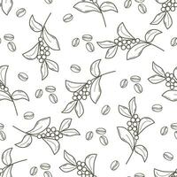 Coffee branches and beans botanical seamless pattern vector