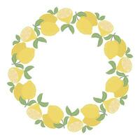 Botanical citrus circular frame vector illustration