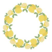 Botanical citrus circular frame vector illustration