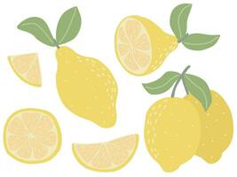 Modern set of lemons isolated on white background vector