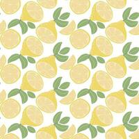 Botanical citrus seamless pattern vector illustration