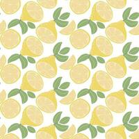 Botanical citrus seamless pattern vector illustration