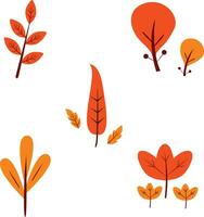 Set of Autumn Leaves. Isolated On White Background. Icons Set vector